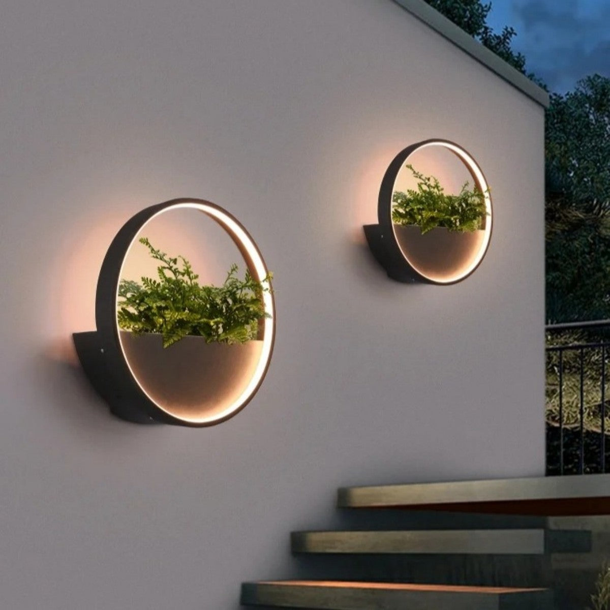Circular Wall Planter Light