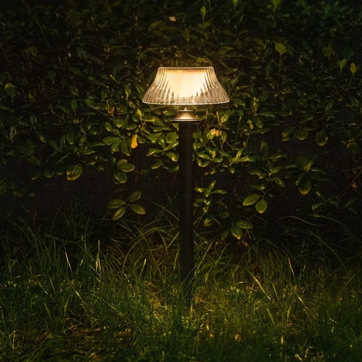 Garden Solar Path Light