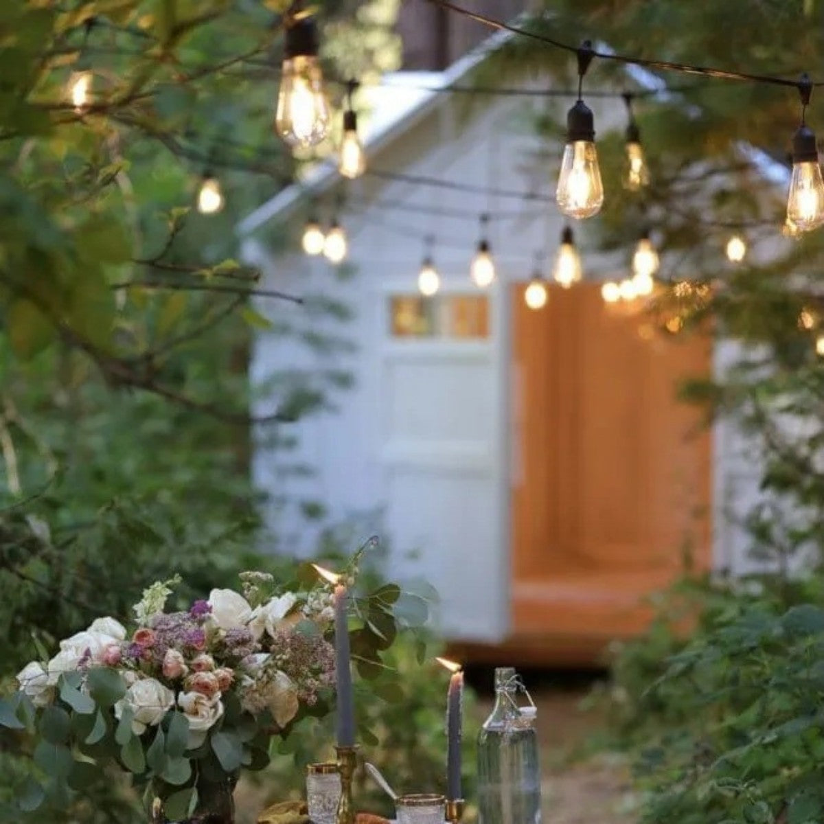 Vintage Edison String Lights