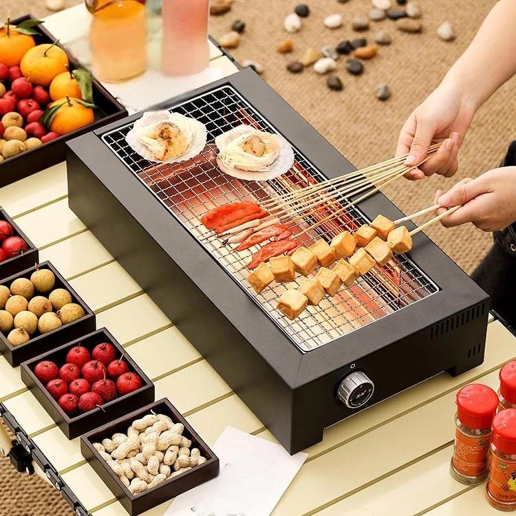 Portable Electric Grill for Indoor & Outdoor BBQs