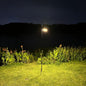 Solar Garden Torch Light