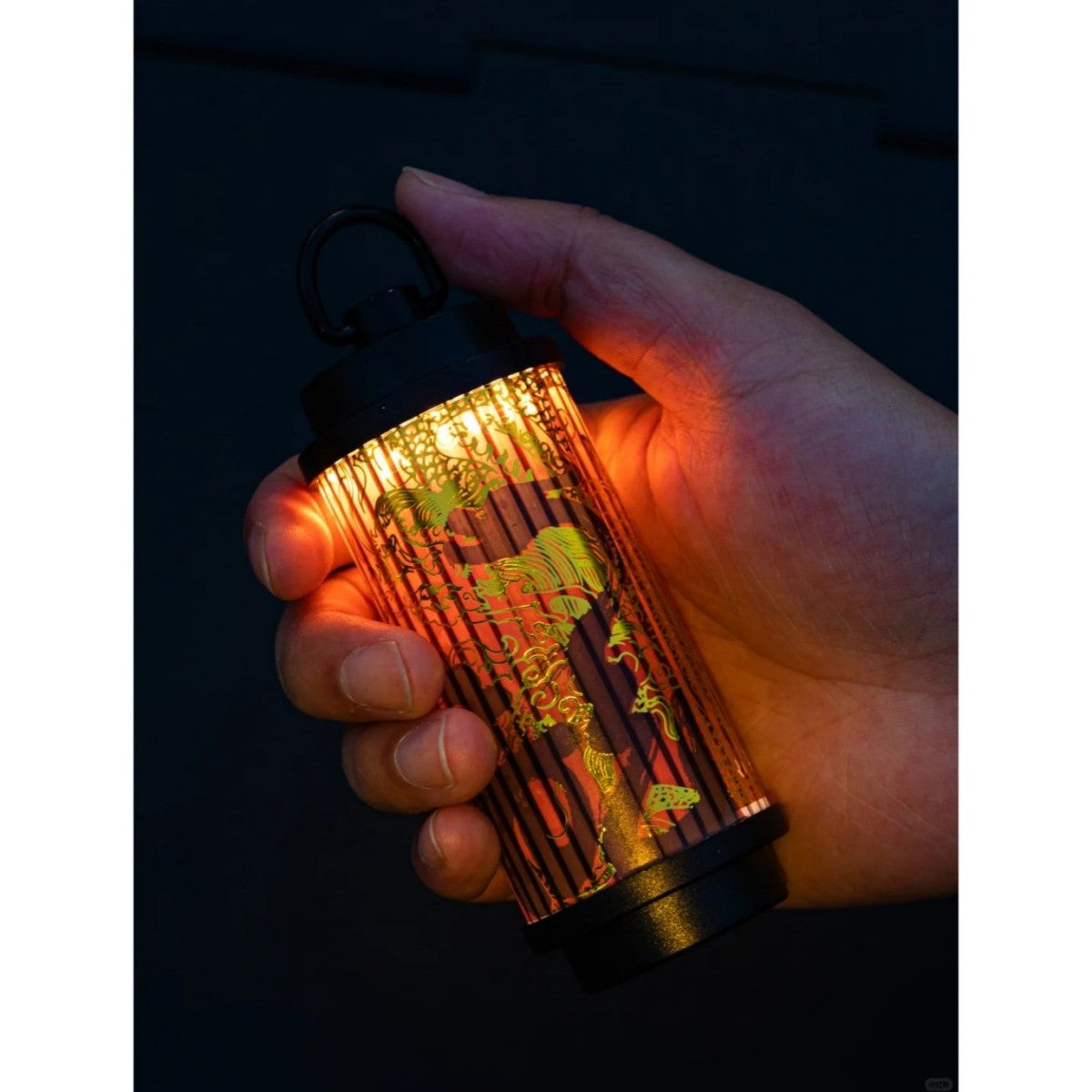 Portable Solar Asian Lantern