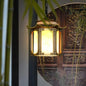 Traditional Oriental Hanging Lantern