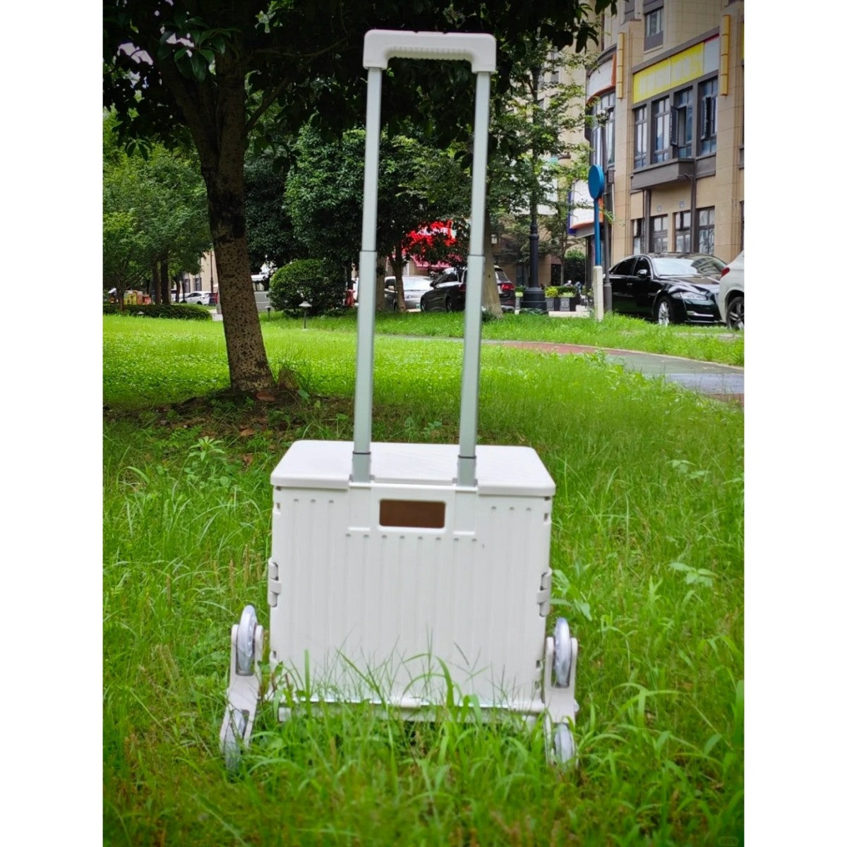 Portable Rolling Cart with Telescoping Handle